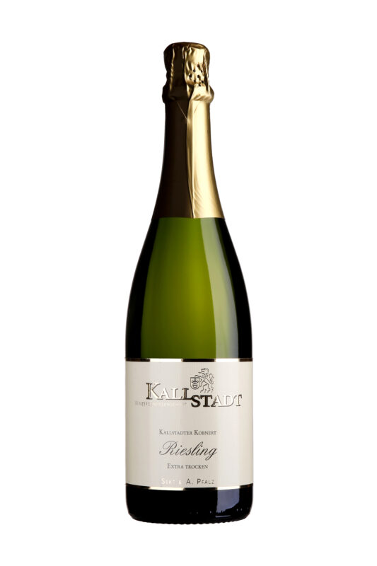 2024 Kallstadter Kobnert Riesling extra trocken