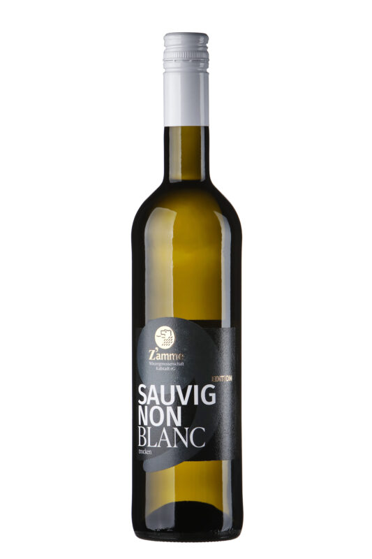 2024 Pfalz Sauvignon blanc trocken