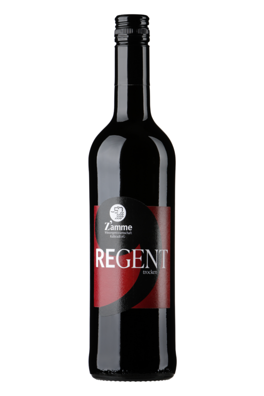 2023 Pfalz Regent Rotwein trocken