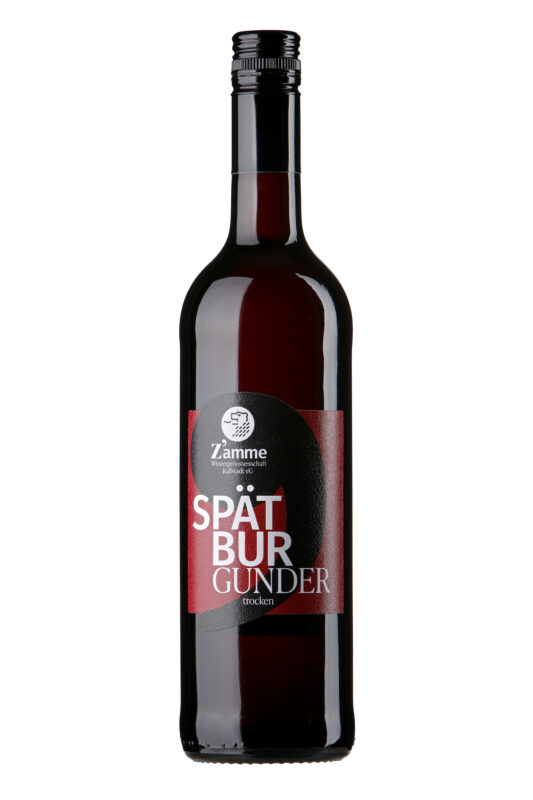 Brown beer bottle with a red label and white text, shown from the neck to mid-body against a white background, close-up view of the bottle.