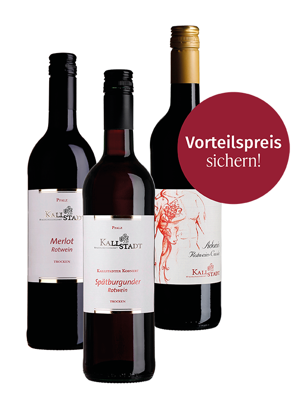 Rotwein-Paket trocken